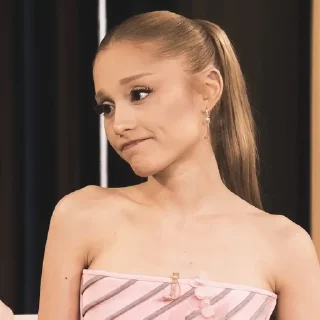 Telegram sticker ☹️ what 'bout ariana ? @SN08hl