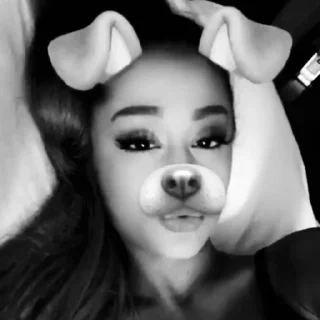 Video sticker 🐶 what 'bout ariana ? @SN08hl