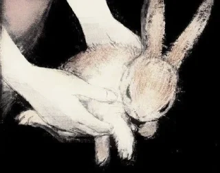 Telegram stiker 🐇 ˚ ༘✶ @paint11black