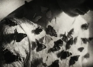 Telegram stiker 🦋 ˚ ༘✶ @paint11black