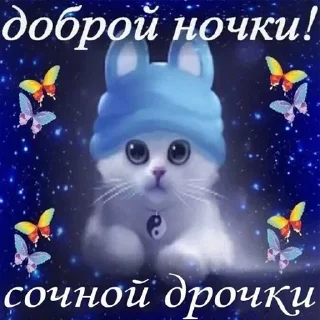 Video sticker 🤩 Ну мои