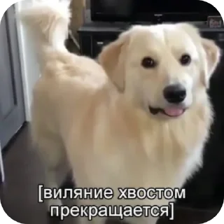 Telegram sticker 😀 Ну мои