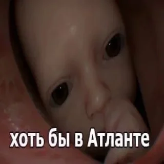 Video sticker 🤱 Больше стиков тут: @stikery4