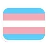 Video sticker 🌟 Duo Pride Flags by...