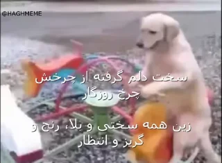 Video sticker 😔 @slp_dokhtari | سلپ ۲