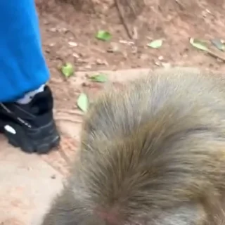 Video sticker 😂 Больше стиков тут: @stikery4