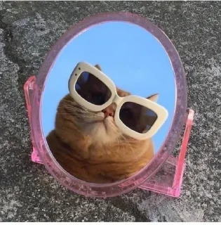 Telegram sticker 🤍 زهزه😔🤍