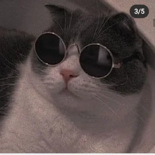 Telegram sticker 🤍 زهزه😔🤍