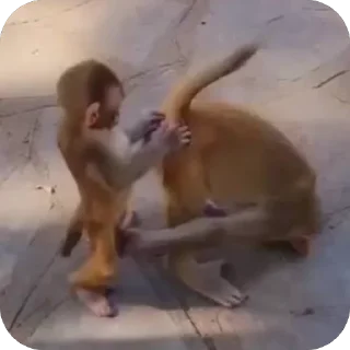 Telegram sticker 🫥 سسس