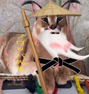 Video sticker 🌟 Profitable Cat by Ayman Naim :: @fStikBot