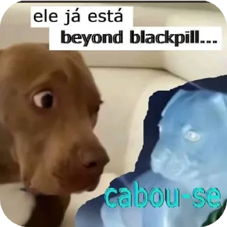 Telegram sticker 🐶 Chelsistão