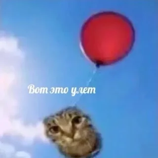 Video sticker 🤗 Lol idk @stickrubot