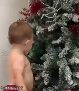 Video sticker 😈 @stjckers شماره مجازی ارزان👉🏼 @Majazinoo_accbot