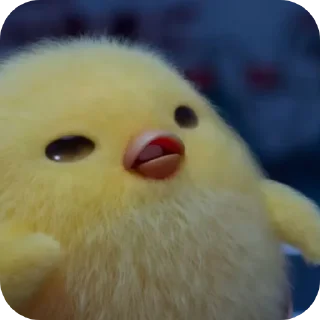 Telegram sticker 🐦 엉덩이콘 @bongsanjee33