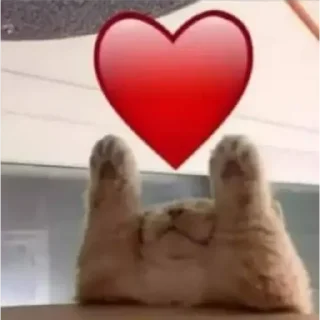 Sticker ❤️ ginevodka