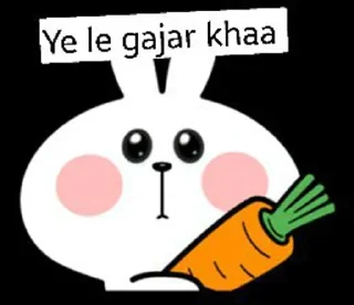 Video sticker 😝 @indianfriendship1 Group Sticker pack