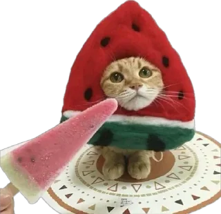 Video sticker ☺️ Больше стиков тут: @stikery4