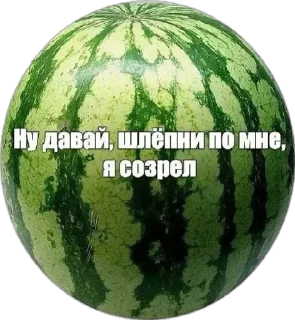 Telegram sticker 😎 Больше стиков тут: @stikery4