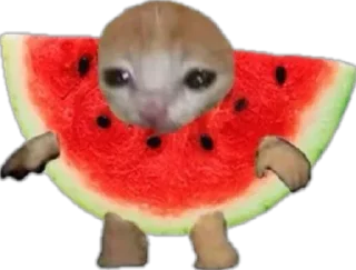 Telegram sticker 😴 Больше стиков тут: @stikery4