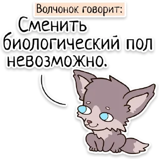 Video sticker 🧬 Забавныя звѣрьки (unofficial)