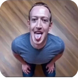 Video sticker 😛 MEMES 2025