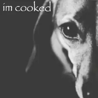 Telegram sticker 😊 they say im cooked