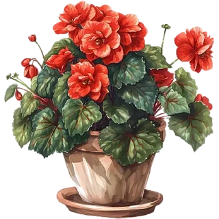 Video sticker 🪴 House Plants @PunjabiSticker