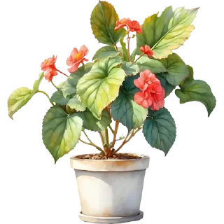 Telegram sticker 🪴 House Plants @PunjabiSticker