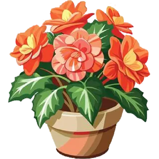 Telegram sticker 🪴 House Plants @PunjabiSticker