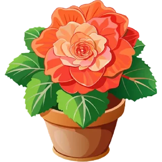 Video sticker 🪴 House Plants @PunjabiSticker