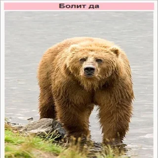 Телеграм стикер 😞 Планета Гугл