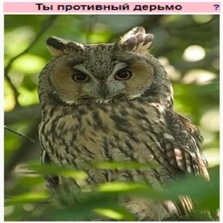 Телеграм стикер 😡 Планета Гугл