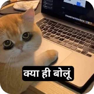 Telegram sticker 🐱 बागड़ बिल्ला 2.0 :: @fStikBot