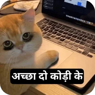 Telegram sticker 🐱 बागड़ बिल्ला 2.0 :: @fStikBot