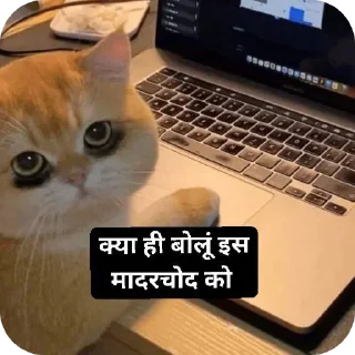 Telegram sticker 🐱 बागड़ बिल्ला 2.0 :: @fStikBot
