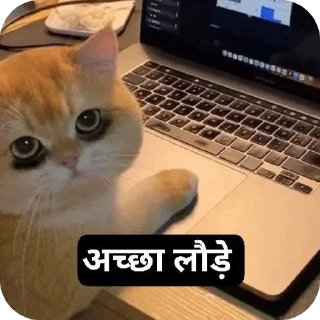 Telegram sticker 🐱 बागड़ बिल्ला 2.0 :: @fStikBot
