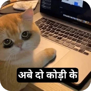 Telegram sticker 🐱 बागड़ बिल्ला 2.0 :: @fStikBot