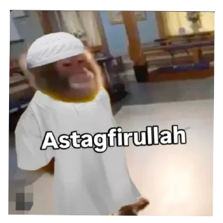 Video sticker 🛋 बागड़ बिल्ला 2.0 :: @fStikBot