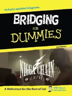 Video sticker 🌟 NTO: Niggachain AI Layer 2 :: @fStikBot
