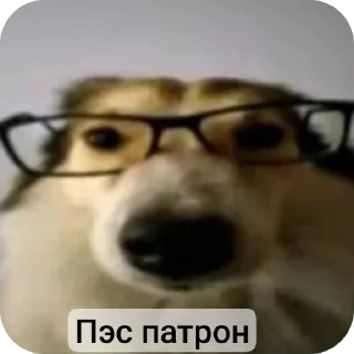 Telegram sticker 👓 SVO