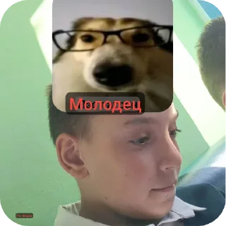 Telegram sticker 🤣 SVO