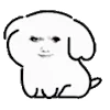 Video sticker 😀 @Zero_oii
