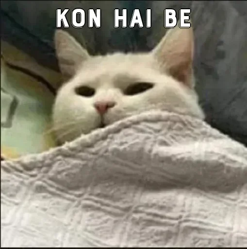 Телеграм стикер 🙂 Krishna Sharma