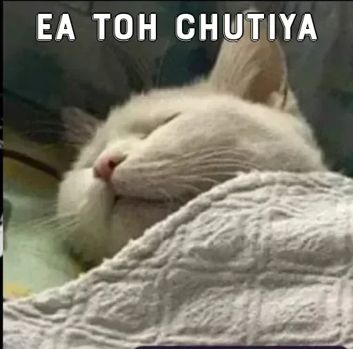 Телеграм стикер 😏 Krishna Sharma