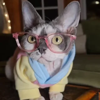 Video sticker 🤓 Больше стиков тут: @stikery4