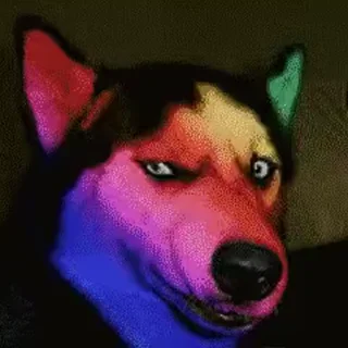 Video sticker 🌝 @Pok_e_m_on