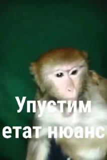Video sticker 😁 Обычный Пак @CoddyOrbit