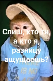 Video sticker 😁 Обычный Пак @CoddyOrbit