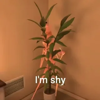 Telegram stiker ☝️ I don't like this rock ⚫👄⚫☝️🏼