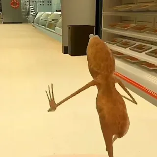 Telegram stiker ☝️ I don't like this rock ⚫👄⚫☝️🏼